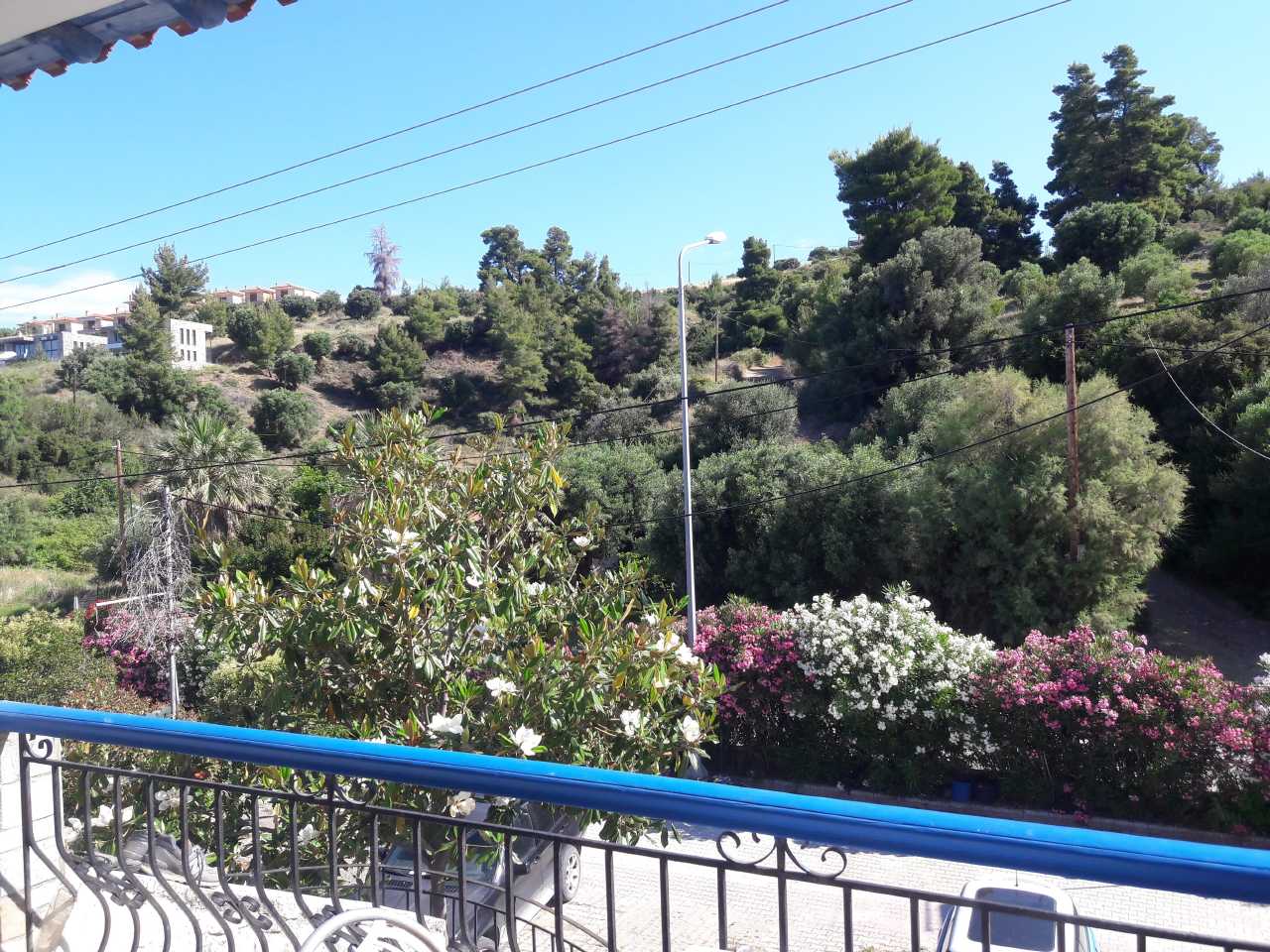 Νέα Σκιώνη Κασσάνδρα Χαλκιδικής